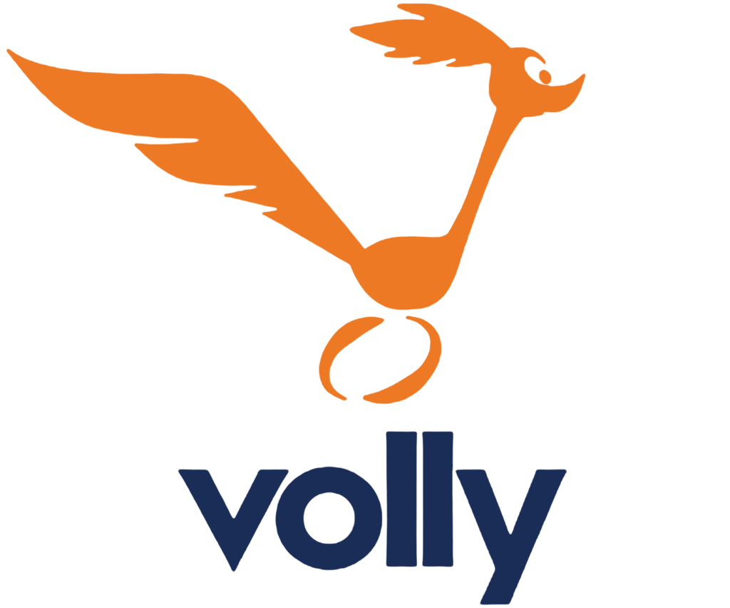 Volly Logo